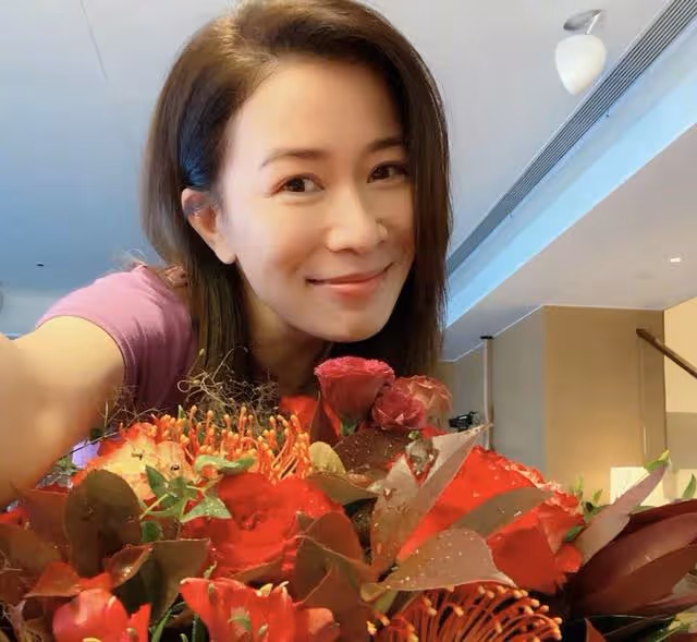 新年驚喜!TVB又一大製作新劇即將開拍,佘詩曼回巢做女主角