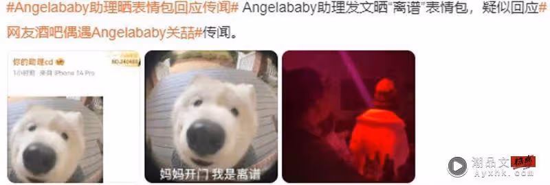 Angelababy約會爆與人夫男星約會照片曝光！助理貼文澄清慘遭打臉