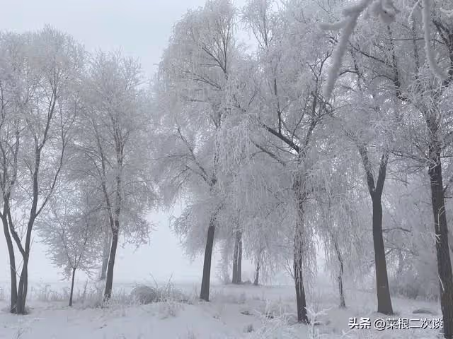 孫子過周歲，我給一千紅包，外孫過周我給一萬紅包，兒子很不高興