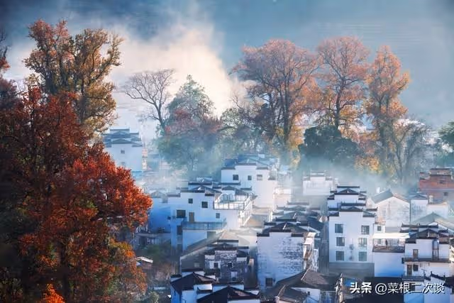 我們住的房子是公婆全款買的,我爸媽卻非要來我們家住下養老