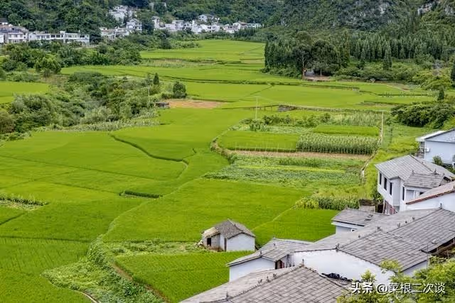 我們住的房子是公婆全款買的,我爸媽卻非要來我們家住下養老