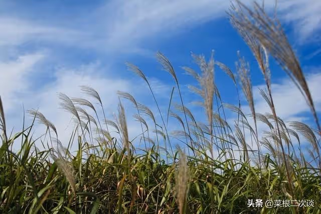 我25歲那年,我媽給我生了一個妹妹
