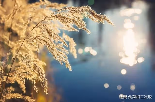 我25歲那年,我媽給我生了一個妹妹