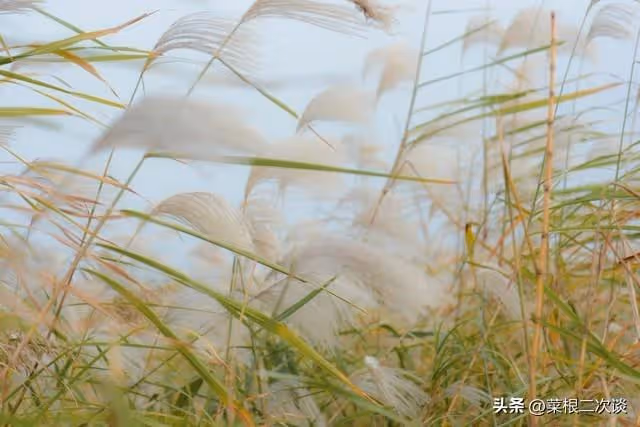 我25歲那年,我媽給我生了一個妹妹