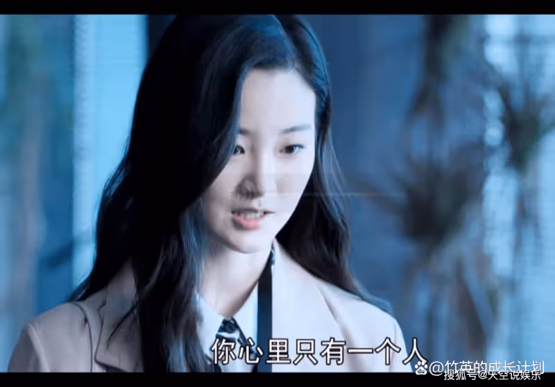 《向風而行》看到李語珩拒絕了宋宋,便知道她已經放下了顧南亭