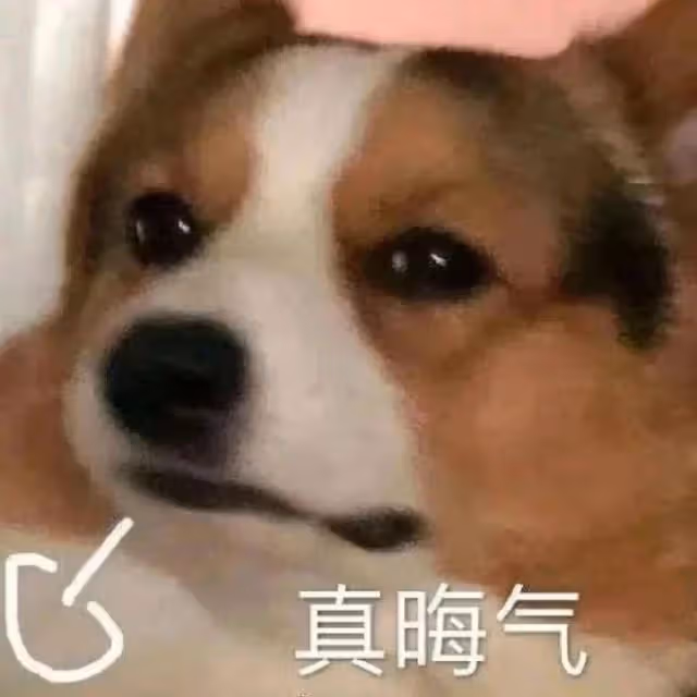 又一對頂流夫婦官宣了?!