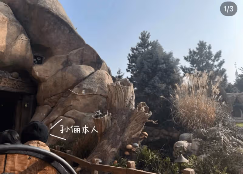 孫儷豪擲33萬辦迪士尼會員,帶兒女遊玩顯幸福,11歲等等顏值高