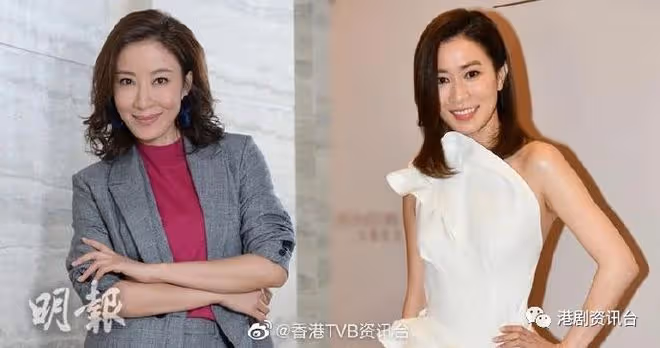 確定!佘詩曼回巢拍TVB劇《新聞女郎》 楊怡缺席由另外兩位花旦頂上