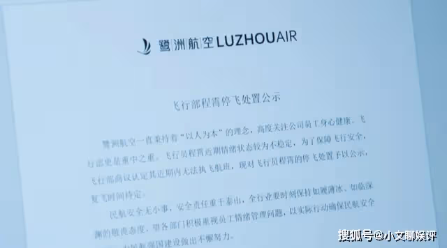 《向風而行》鷺航的水有多深?一張停飛報告,抹殺了程霄所有的期待