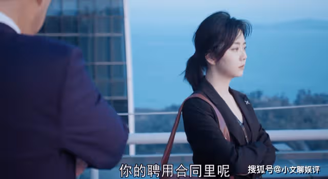 《向風而行》鷺航的水有多深?一張停飛報告,抹殺了程霄所有的期待