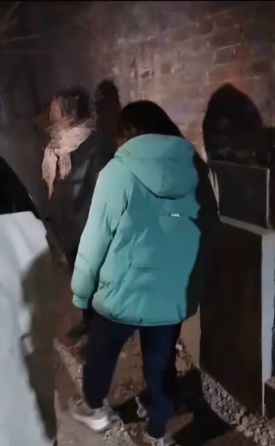 兩女子深夜去墳地「偷花圈」,被村民抓住時,車上已偷了18個,2人身份揭曉後,網友嚇傻:膽大又缺德!