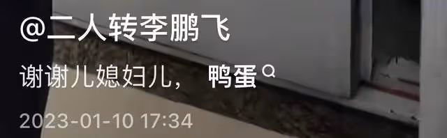 丫蛋喜得三胎兒子！與王金龍離婚再嫁趙本山徒弟，產前虛弱坐輪椅