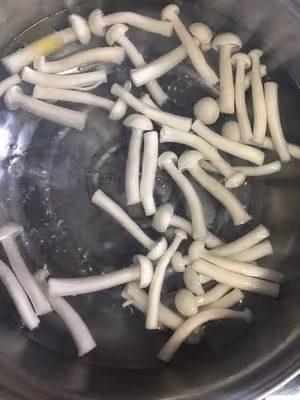 家常小炒‼️海鮮菇炒肉絲💯