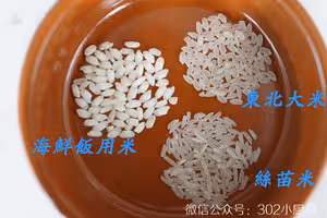 西班牙海鮮飯（paella） <302小廚房>