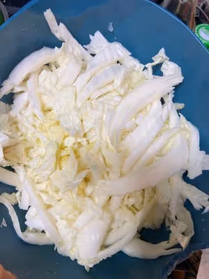 涼拌白菜