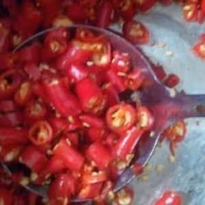 紅油毛肚