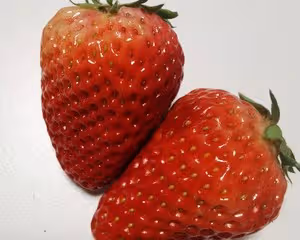 草莓牛奶布丁