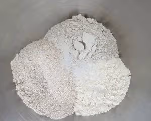 自帶氣場的奶酪核桃軟歐包