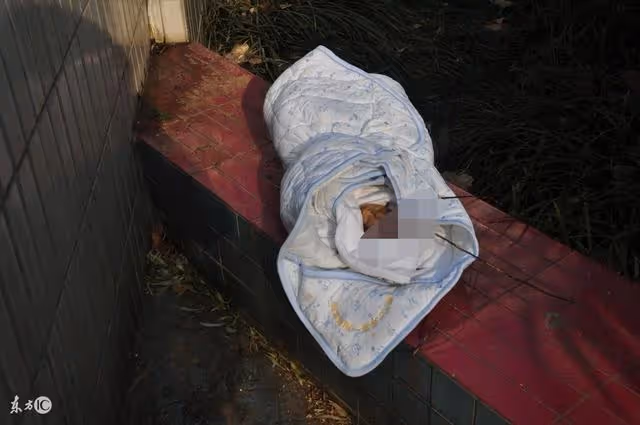 夫婦倆火車上撿棄嬰，養了二十年後有錢親爹來找，他跟親爹走了