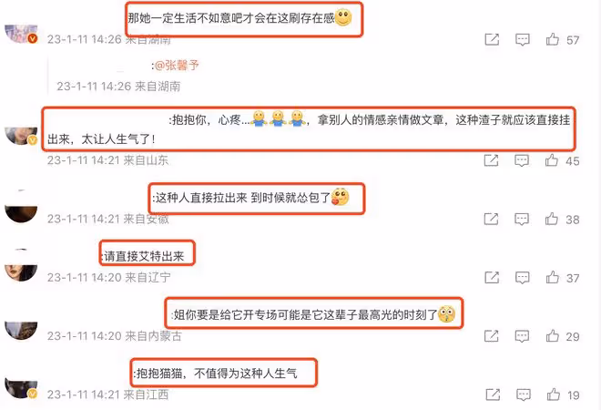 張馨予因「父親去世」遭黑粉嘲諷，她發文警告，怒斥其不配為人