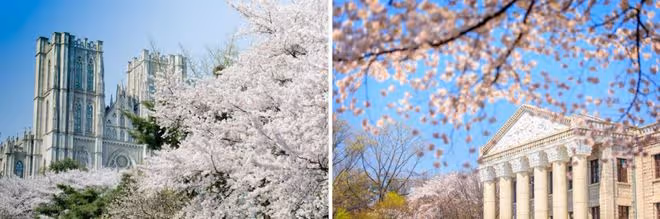 這居然是韓國大學的教學樓？