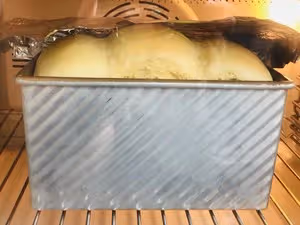 北鼎食譜創造營                    無黃油的超好吃吐司🍞