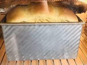 北鼎食譜創造營                    無黃油的超好吃吐司🍞