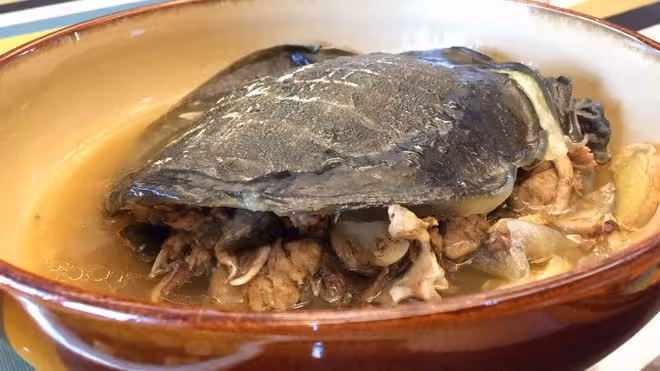 清蒸甲魚