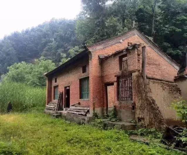 27歲女孩獨自隱居深山雜草院，不買衣服，不上網，3年後改造成一家絕美書院~
