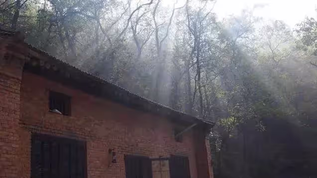 27歲女孩獨自隱居深山雜草院，不買衣服，不上網，3年後改造成一家絕美書院~