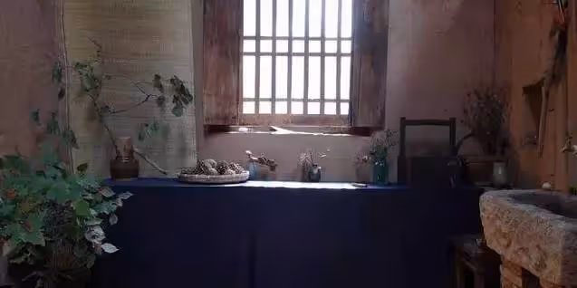 27歲女孩獨自隱居深山雜草院，不買衣服，不上網，3年後改造成一家絕美書院~