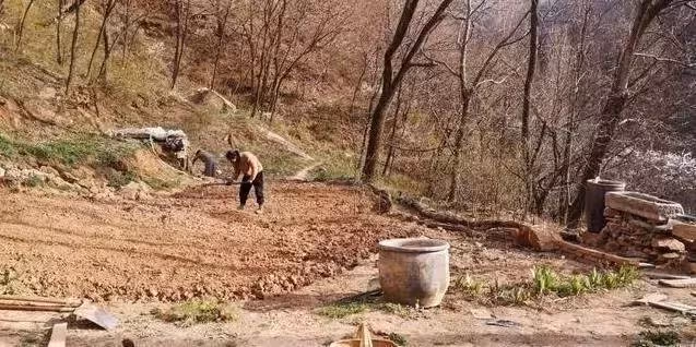 27歲女孩獨自隱居深山雜草院，不買衣服，不上網，3年後改造成一家絕美書院~