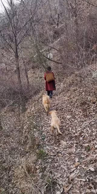27歲女孩獨自隱居深山雜草院，不買衣服，不上網，3年後改造成一家絕美書院~