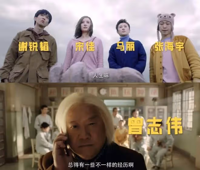 《絕望主夫》被嘲是《絕望狗屎》!回看開心麻花的爛片,它不算啥