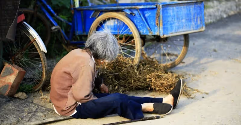 養了一個月，失足落崖後才發現，老太太竟不是窮婦人