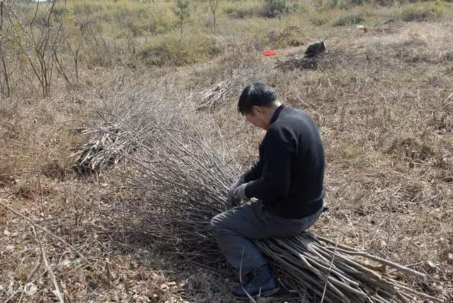 養了一個月,失足落崖後才發現,老太太竟不是窮婦人