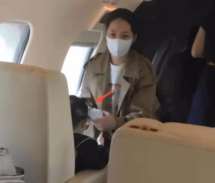 郭碧婷社交帳號取關向佐,兩人疑似發生婚變,獨自帶娃回港顯落寞