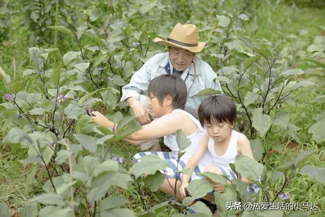 伸手向兒子要錢看病的那一刻，讓我看清，兒女之間誰是真心對我好