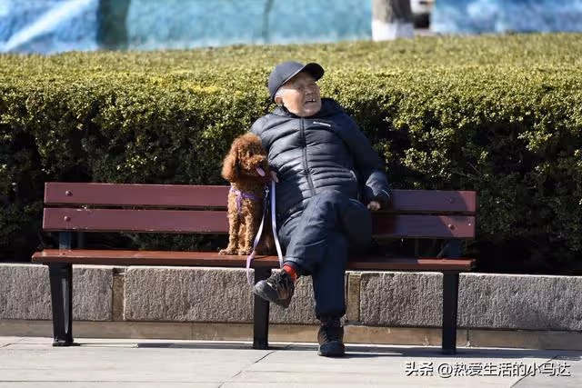 晚年在女婿家養老，人人誇我命好，卻不知這是我拿三樣東西換來的