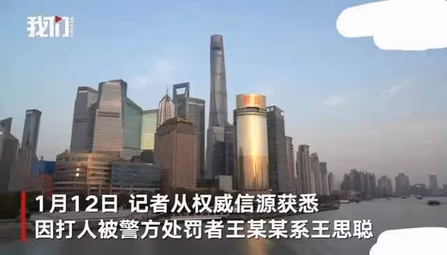 王思聰打人事件升級,花200萬賠償,求得對方的原諒?風光不再嗎