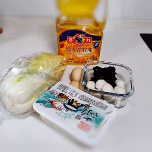 砂鍋豆腐煲