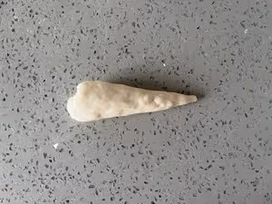 免揉❗️免蒸汽❗️層次分明咸香海鹽卷｜鹽麵包