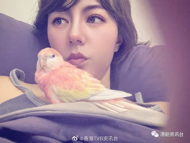 恭喜恭喜!41歲劉心悠被爆已婚,大除夕低調嫁圈外人