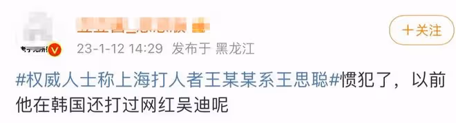 王思聰黑料被扒,6年前曾在韓國毆打網紅,放話:見一次打一次
