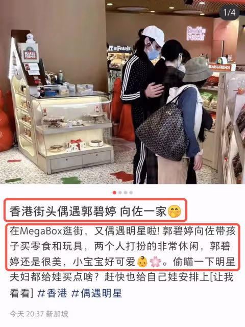 沒離婚!向佐夫婦帶兒子逛街被偶遇,向佐扶著郭碧婷背部很體貼