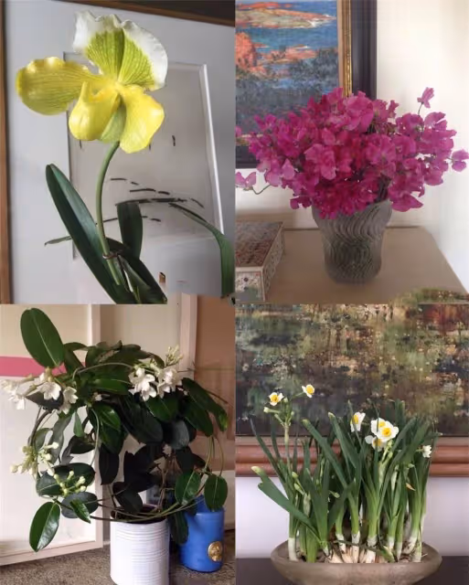 鐘楚紅享受13年獨居生活!曬出「千萬豪宅」,堆滿鮮花美食,60+依舊精緻如少女