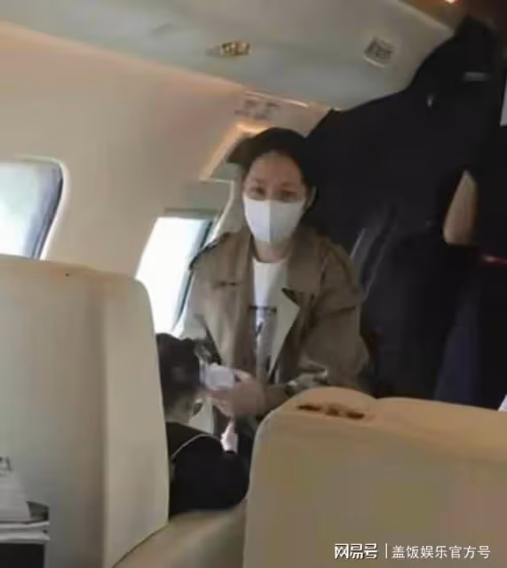 向佐郭碧婷合體逛街,女方狀態疲憊無交流,搭背動作破離婚傳聞