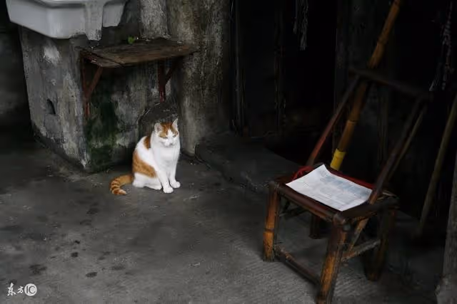 街邊老太突然昏迷,救了之後發現父母竟是因她而死,他卻養老太一輩子