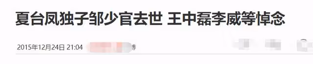 73歲夏台鳳台北趕集買年貨,逛路邊攤無人識,獨子患癌已去世8年