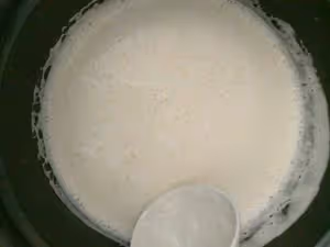 自製牛奶雞蛋冰淇淋雪糕